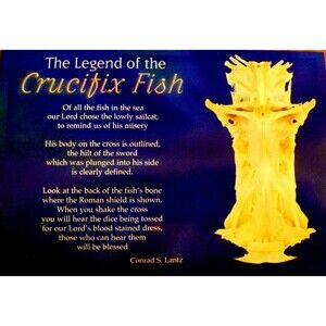 Postcard crucifix fish gaff top sailcat religious jesus christ cross